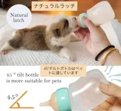 Item thumbnail for item 4dab332a-dca3-48e0-96f9-05b0e63e956c