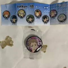 くら寿司 ハイキュー 夜久衛輔 缶バッジ