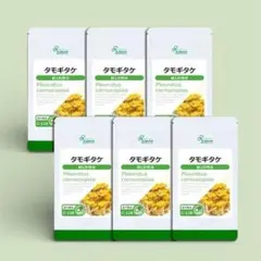 Item thumbnail for item 713f5c50-3c0d-4b67-a6f1-3c3d84b187e5