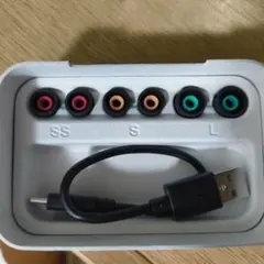 【純正イヤーピース】SONY WF-1000XM5