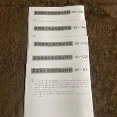 2026年最新】聖光 サピックスの人気アイテム - メルカリ