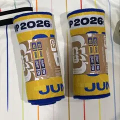ワールドカップ 日本vsスウェーデン マフラータオル & ピンバッジ W杯