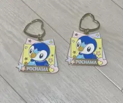 ポケモン ポッチャマ メタルキーホルダー 2個セット
