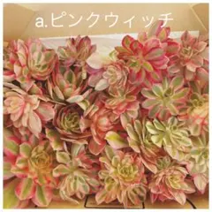 にこ様 リクエスト 2点 まとめ商品