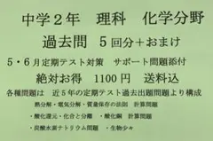 Linkin様 リクエスト 2点 まとめ商品