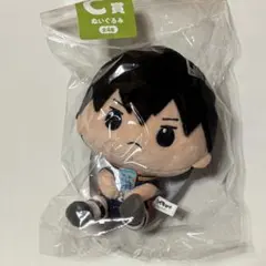 お*ん様 ハイキュー！！ グッズコレクション C賞 ぬいぐるみ 影山飛雄