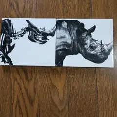 2026年最新】Mr.Children 1992-1995の人気アイテム - メルカリ