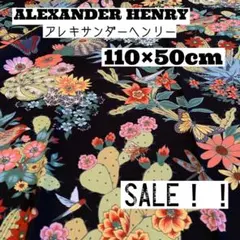 Item thumbnail for item fdf239d1-f327-41c0-afc9-3f01c6de7686