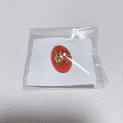 大包平イメージピアス