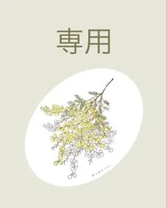 アンパンマン31様専用✴︎