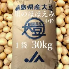 乾燥大豆　30kg　里のほほえみ　中粒　令和6年産のサムネイル