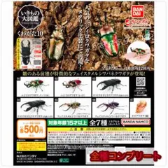 【◎フルコンプ】いきもの大図鑑 くわがた10