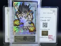 【ARS10+】鑑定書付 孫悟空 FB05-053 フュージョンワールド
