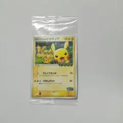 ポケパークのピカチュウ 未開封品 ポケパークのピカチュウ 未開封 ポケモンカード 管理8h5 - 遊戯屋