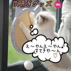 Item thumbnail for item 09fd4858-fa37-40db-80d4-dd0ad943a033