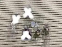 葬送のフリーレン　ザイン　めじるしアクセサリー