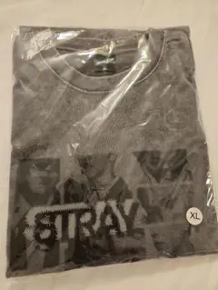 M 黒 straykids RUN IT JAPAN スキズ フォト Tシャツ - メルカリ