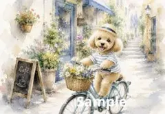 カフェと子犬 自転車 デジタルアート イラスト ポストカード