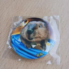 ことみʕ•ᴥ•ʔ7月末までの出品です様 リクエスト 4点 まとめ商品