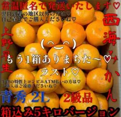 (#^.^#)ボイン♡ボイン♡大きいのが♡お好きな♡お父様用かしら〜ん♡5キロ♡