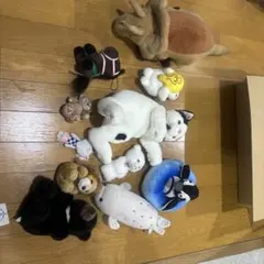 Item thumbnail for item 2e4d3fd7-3939-4388-9010-04d859a01c2b