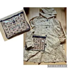 Item thumbnail for item af11a102-6eb4-4fb7-b0de-d346730b97c2