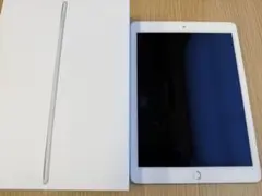 Apple iPad AIR2 シルバー 本体