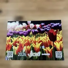 Item thumbnail for item 4acf8930-9e13-42ac-b410-2476f21732ae