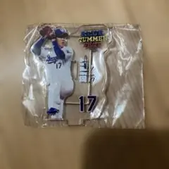 中日ドラゴンズ　ブルーサマーフェスティバル アクリルスタンド　柳裕也投手