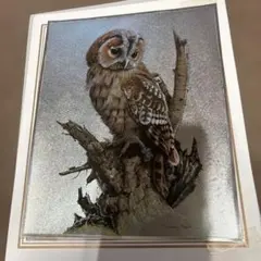 ジャッキーマリーヴォーグ「グレートホーンオウルL」ジクレー版画