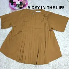 A DAY IN THE LIFE 半袖 プリーツ ブラウス ブラウンのサムネイル