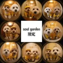 soul garden 251101d