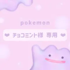 ❤︎ チョコミント様 専用 ❤︎