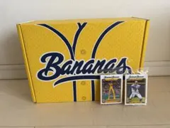 Savannah Bananas ボックス トレーディングカード付き