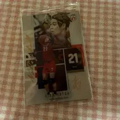 永露元稀 バレーボール日本代表 トレーディングカード