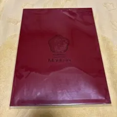 King & Prince パンフレット