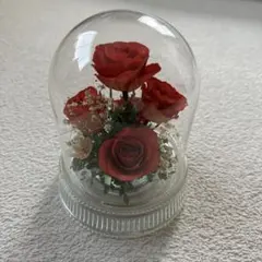 Item thumbnail for item 6533ac66-e34c-4c3a-be27-31d0b09dfba3