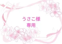 うさこ様 リクエスト 2点 まとめ商品