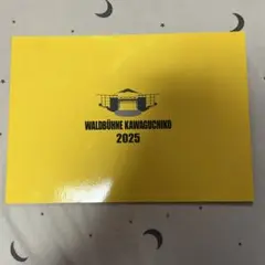 ベルリンフィル ヴァルトビューネ 河口湖2025 公演プログラムパンフレット