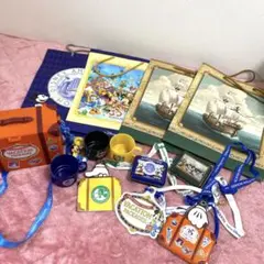 ディズニー ホテルアメニティ バケーションパッケージ グッズ