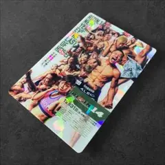 RIZINカード RIZIN.14 ポスターカード　ポテトスティック