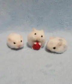 【コメント必須】10%OFF＊ハムスター＊羊毛フェルト＊ハンドメイドのサムネイル