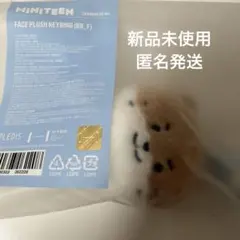 ミニティーン ディノ チャンダリ ぬいぐるみSEVENTEEN プラッシュトイ