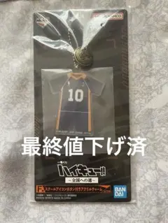 ハイキュー 全国への道 スクールアイコンボタン付きアクリルチャーム 日向翔陽