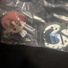 Mrs. GREEN APPLE 1番くじ アクリルペンスタンド 若井