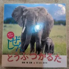 Item thumbnail for item 20e7b7e7-7eb0-4831-a365-06180f1266d1