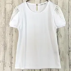ヘルシーカレン シアー チェックスリーブ Tシャツ 【M】 トップス ストレッチのサムネイル