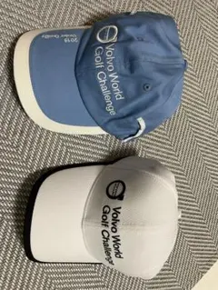 Item thumbnail for item 7ae7f455-d61e-4ebb-b93a-3d4e793ab0ee