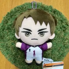 2025年最新】ハイキュー 牛島 ぬいぐるみの人気アイテム - メルカリ