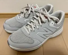 Item thumbnail for item 30a2d1bc-fcc9-418a-b915-68272c2a761d